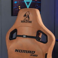 Кресло Evolution Nomad PRO (коричневый) в Гомеле