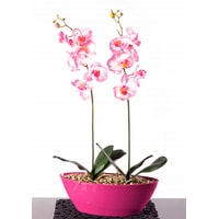Кашпо BigPlast Orchid Oval 34564 (розовый)