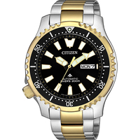 Наручные часы Citizen Promaster NY0094-85E