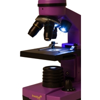 Детский микроскоп Levenhuk Rainbow 2L (аметист) 69036 в Гродно