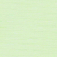 Рулонные шторы Эскар 90x170 (светло-зеленый)