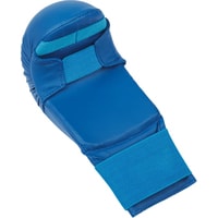 Тренировочные перчатки Insane Mantis IN22-KM200 (L, синий)