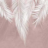 Виниловые обои Citydecor Пальмовые листья пудровые гранж с оттенком 300x270