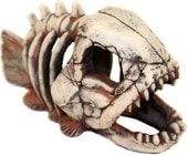 Скелет рыбы №901
