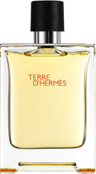 Hermes Terre d'Hermes EdT (100 мл)