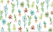 Cactus (белый с рисунком)