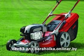 98eaa13ba2bf912a2b901f0bf2d80343.jpeg