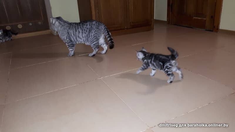 29cf2b005c0fb5856258508c23c3bd21.jpeg