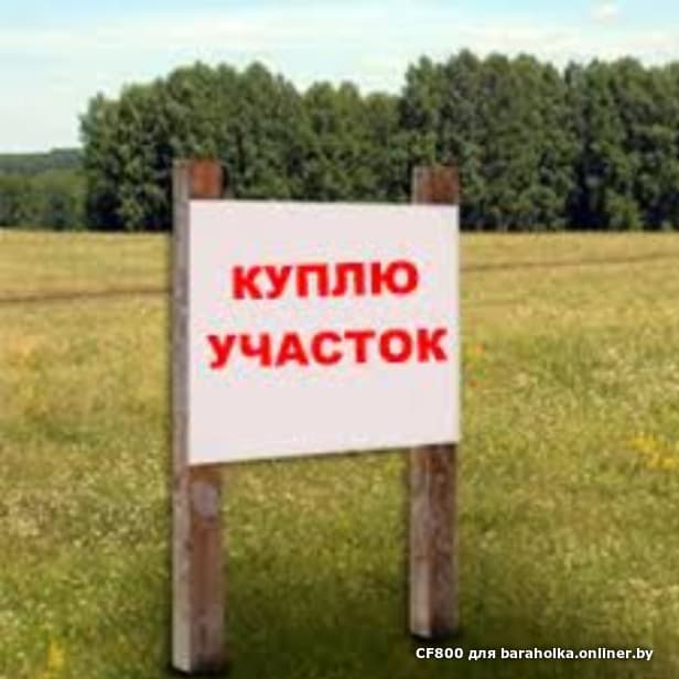 abdf1431d4d43ede7a2c47275a53194a.jpeg