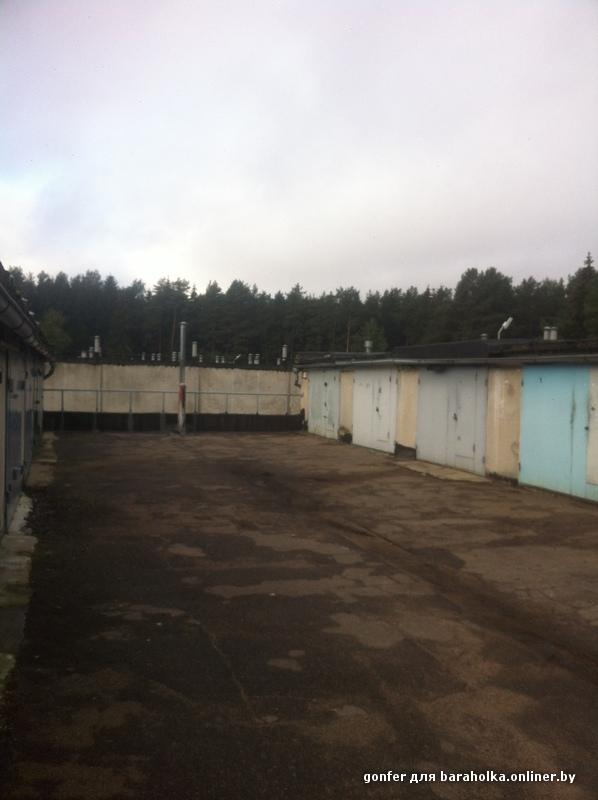 6f157979afed2862ebcb20f17c152384.jpeg