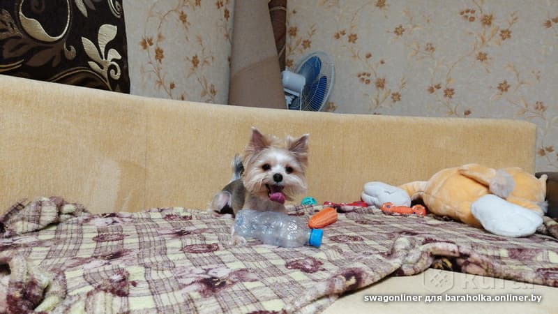 f1942db886ed15e52c71df94cc41a972.jpeg
