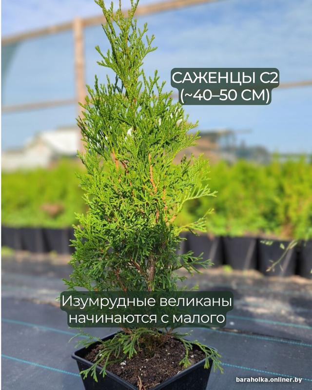 62acdeb6a2a15ec67b528243f9990627.jpg