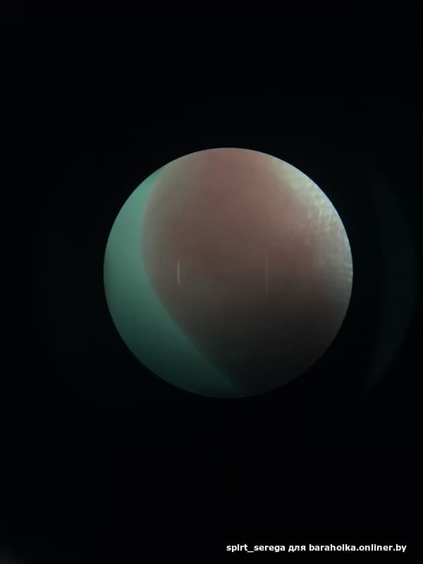 295dfc7a106c7758def228657dd7b6ef.jpeg
