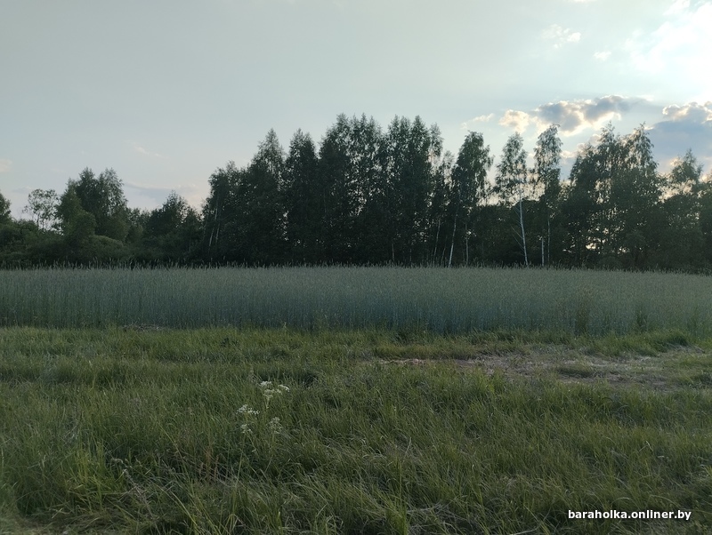 bf26684f44aadf9ca14d43db128ae151.jpeg