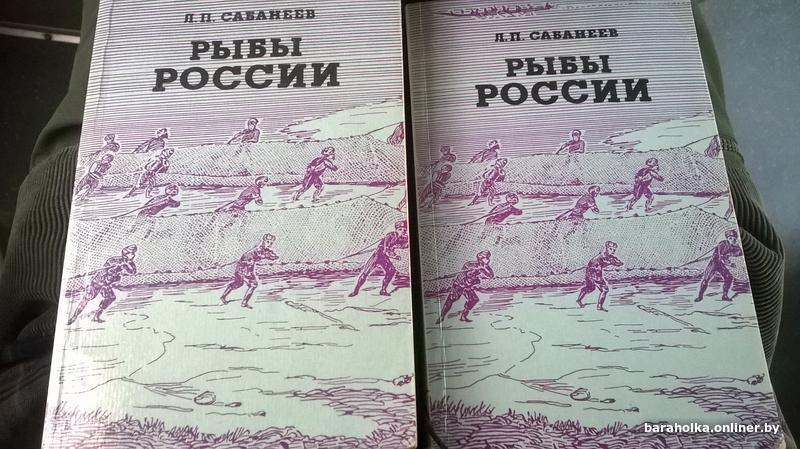 f9db13d47c99cf080fe332dc6a1f0f1d.jpg
