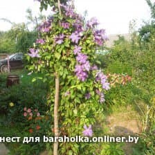 020620317230a3e26a2a118db26e8cc3.jpeg