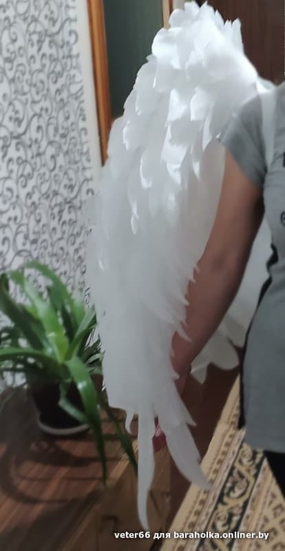 2b4091d05c7da9456e574e1d7cefc572.jpeg