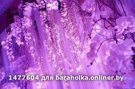 1c030b7f6e5b66c5227a31ed55e722ad.jpeg