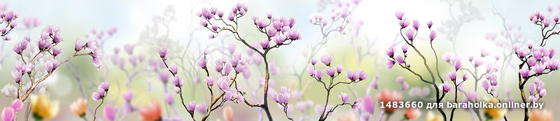 207557191ba29a452e5f2179755ce871.png