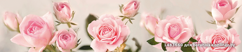 2df67b753a83e395ed3acd3692f8d403.png