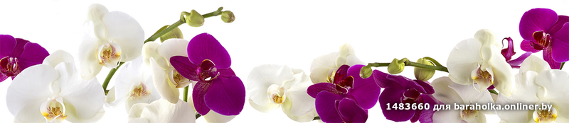 4847dd5175f2f59ee7f6dfe748e2199b.png