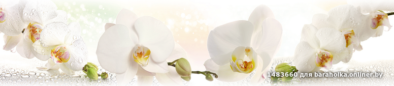 bfe2cfb9b48c73d78f0143c7e295c421.png