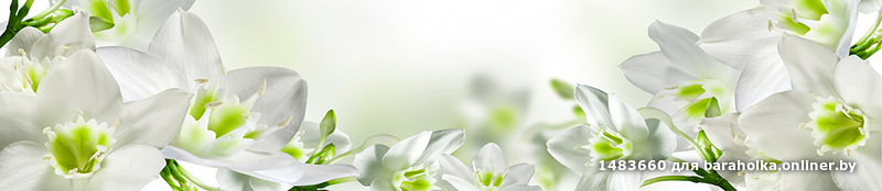 e5b7a645297315099b39a933b5c484ee.png