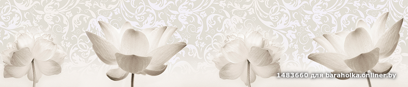 fc118bfdc536a2f91b9e30650052b9e0.png