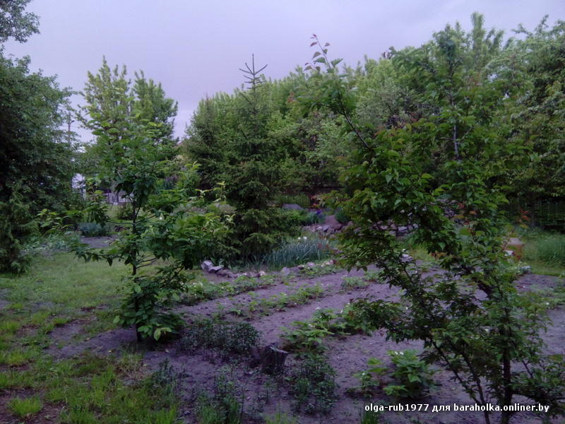 acc0b896e027029a368f0b12ba8dfa95.jpeg