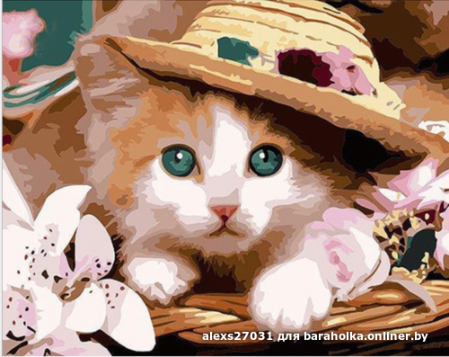 5a0a2f2cd7685de60509a2ef488bba7b.png