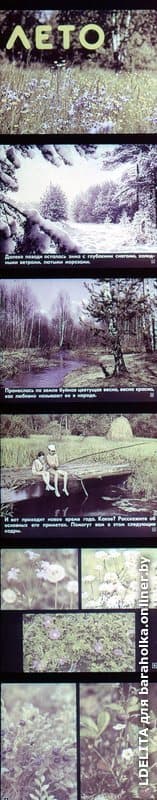 90543e60e241ea7eaf62c96e7d78baa3.jpeg
