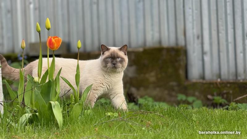 a6427f9663364b36b303dc18679657e7.jpg