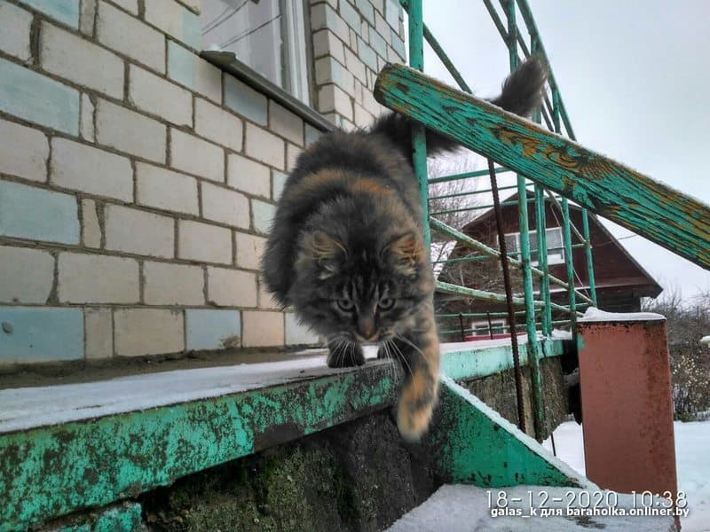 0b94ecfff753106f89901f921d0c1d68.jpeg