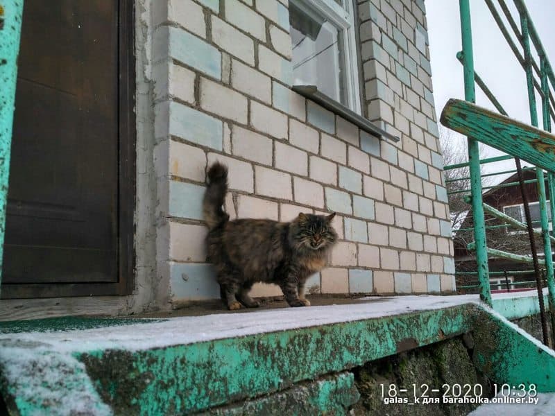 baa52c1c0fb065f20ec5531cdc2b890e.jpeg