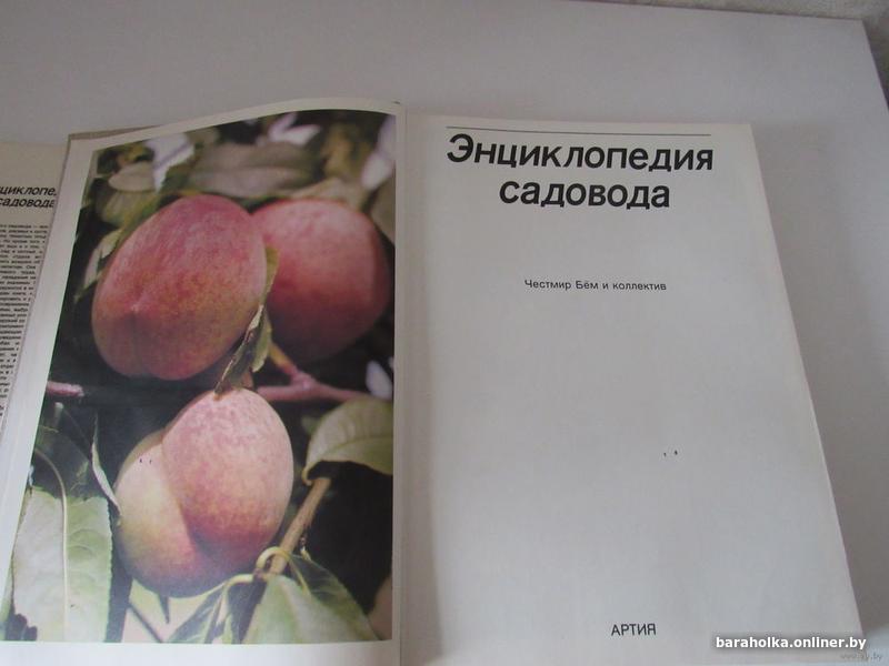 7717322c9e23e7a6822106d5298c47a9.jpg