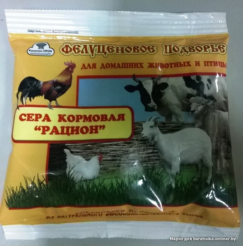источник кальция для коров поможет Как