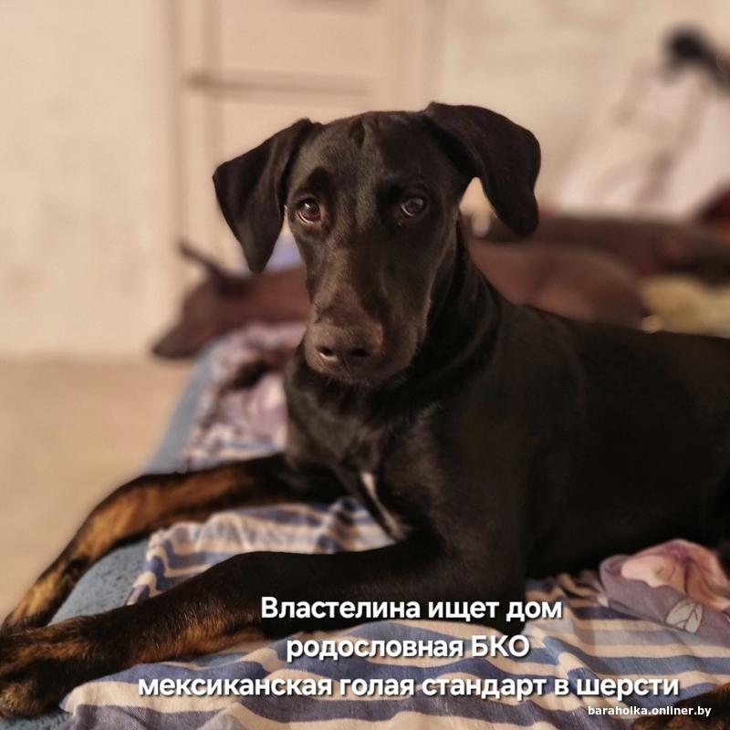 25c5605835e1b6c75405c2f02716ca54.jpg