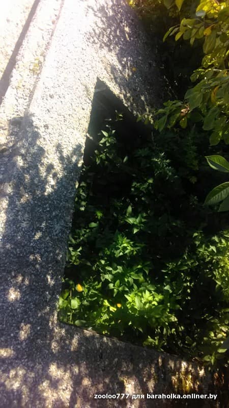 6952fff3ca20169a2071a4c9bf2273e6.jpeg