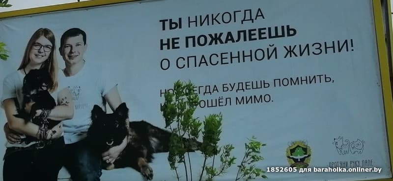 1f5a809ffaa9a001fa17b76b4c24da40.jpeg