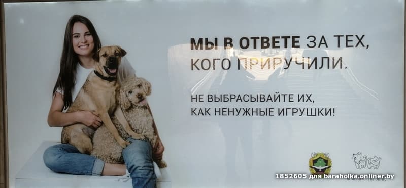 429ea8d94eb3fefaf724bd4153494c1a.jpeg