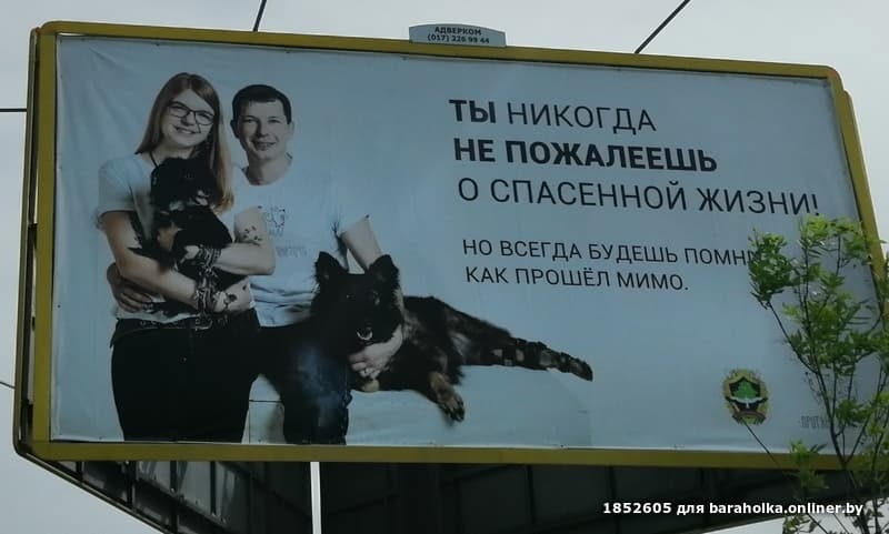 71e624462c8aae79a8ba6deb01b20b4c.jpeg