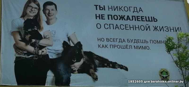 9481fa771e9a0a7e18722f0a61e52329.jpeg