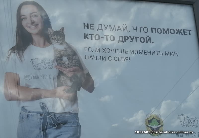 ac3b2f154e78de86094d746d11b2c19e.jpeg