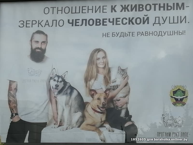 e36913bd0637215d02f1dc5c1e6f607a.jpeg