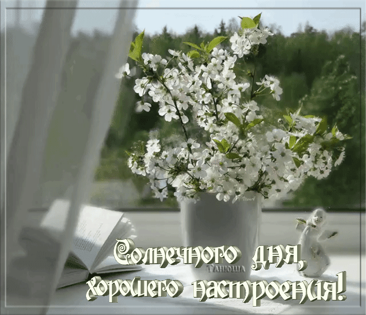 c9d97c3138d427981a95cc29d9f63ba5.gif