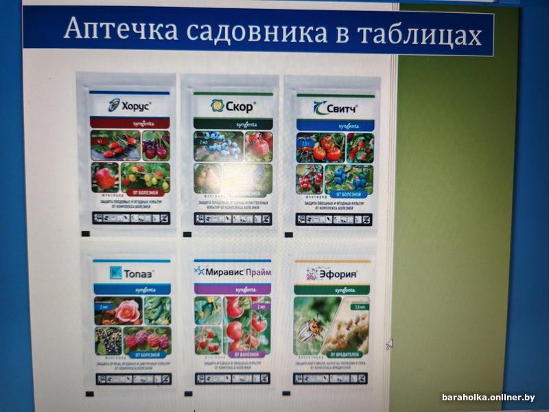 bc842955fe1c20ab24a2d44a5ed2805f.jpg