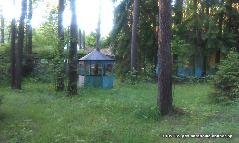 f30834b203d70d48e7aea6349dea3ecc.jpeg