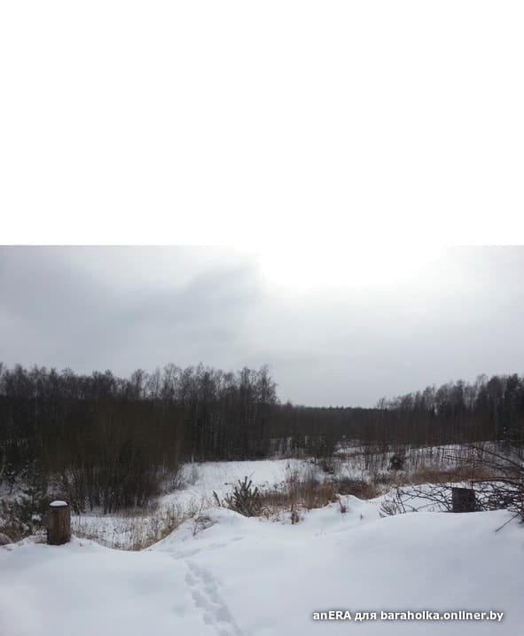 530d9a368defe83b29f29a97d581723c.jpeg