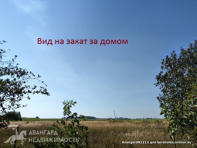 66e23ba29c0830f919f224864c27a1f0.jpeg
