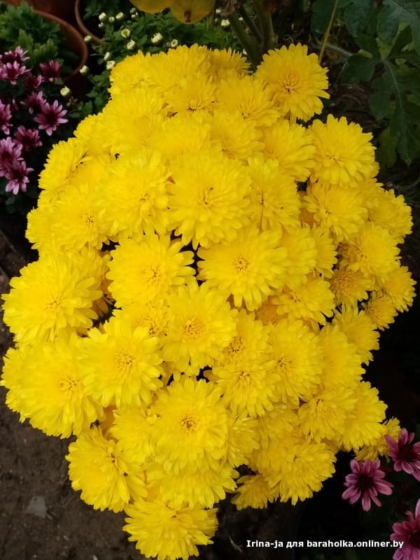 d3fb0a99776c47d296220b3bf5058a4c.jpeg
